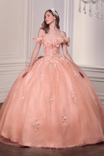 3D Floral Off Shoulder Ball Gown by Ladivine 15731