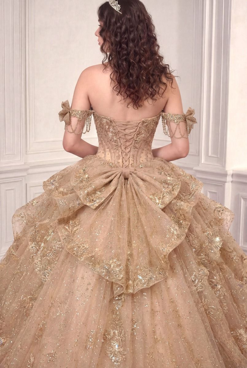 Applique Off-the-Shoulder Ball Formal Gown | Ladivine 15743