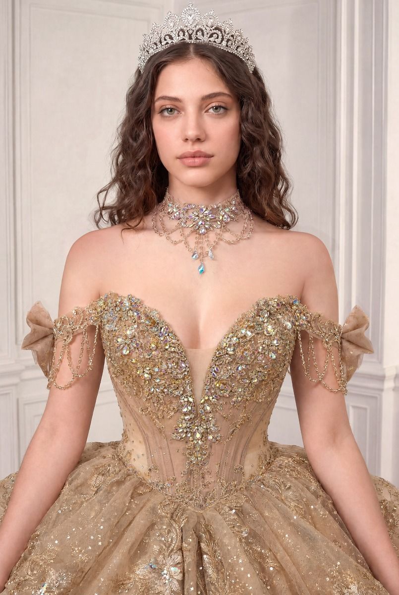 Applique Off-the-Shoulder Ball Formal Gown | Ladivine 15743