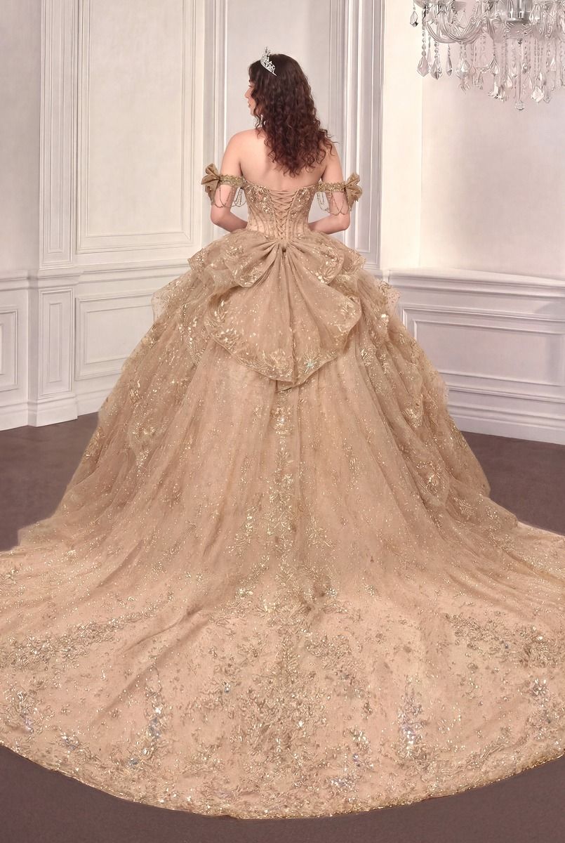 Applique Off-the-Shoulder Ball Formal Gown | Ladivine 15743