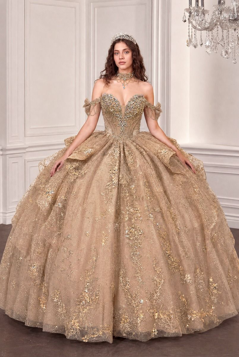 Applique Off-the-Shoulder Ball Formal Gown | Ladivine 15743