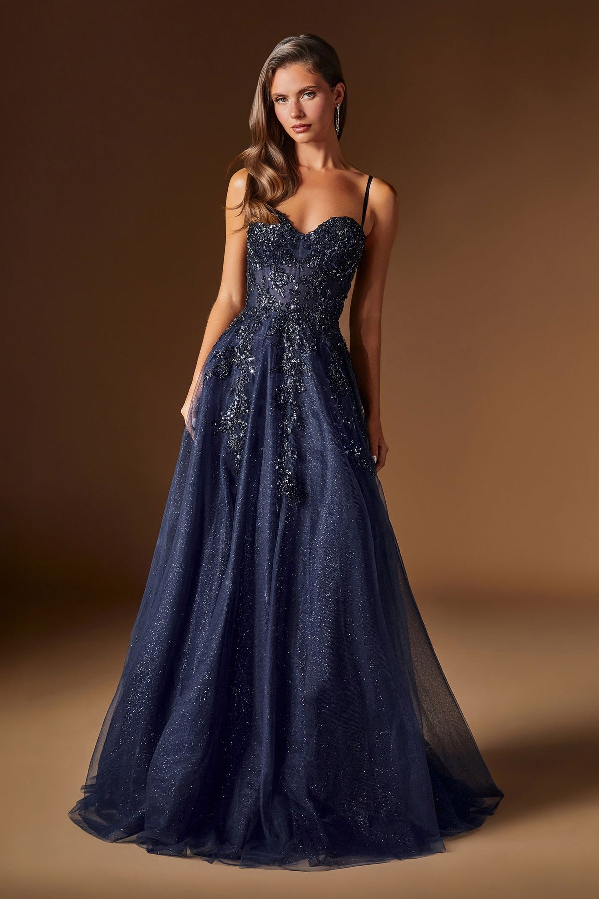 Beaded Glitter Sleeveless A-Line Gown | Ladivine C177