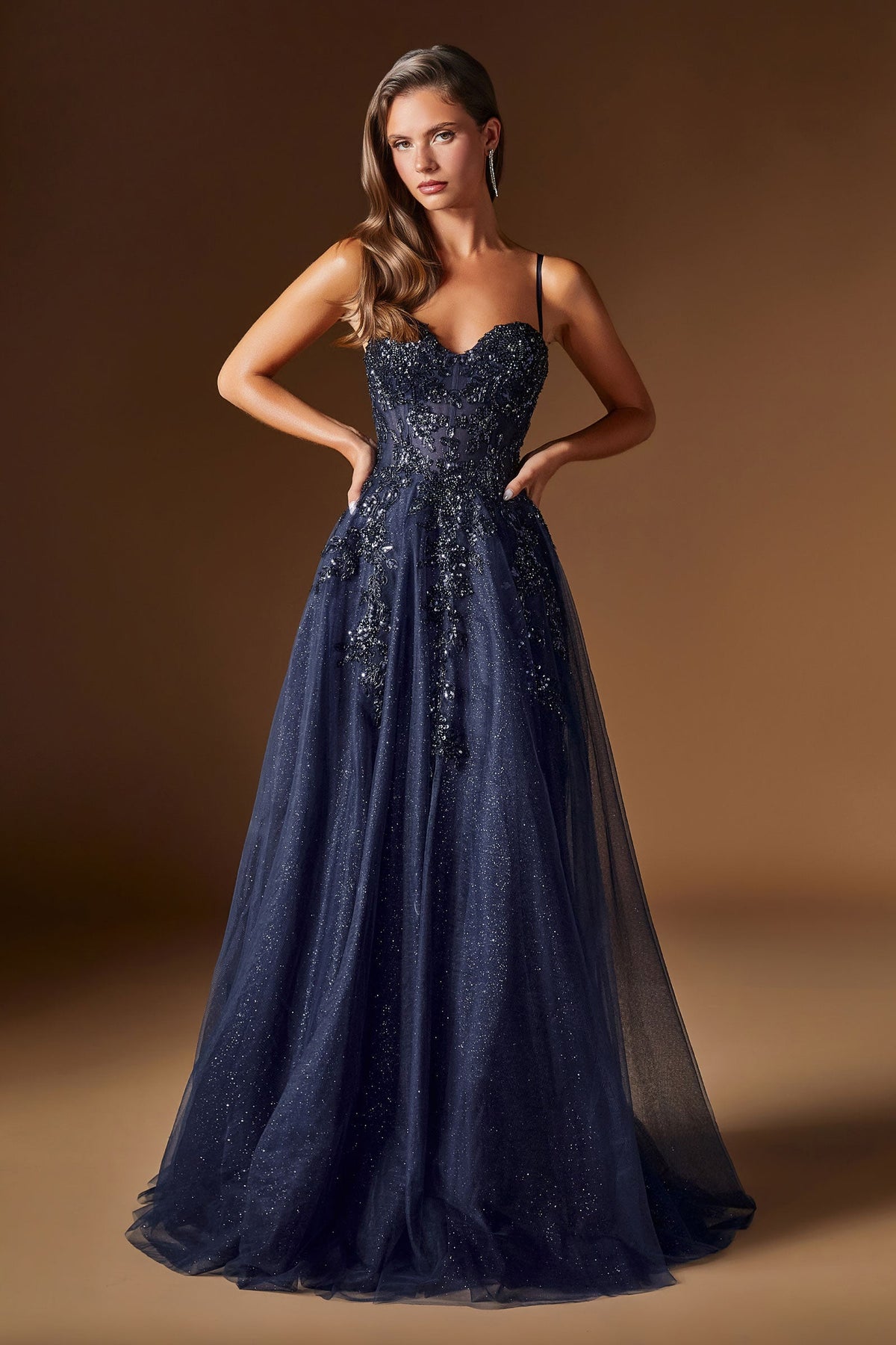 Beaded Glitter Sleeveless A-Line Gown | Ladivine C177