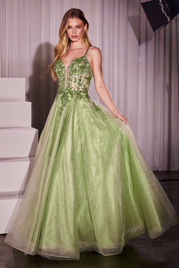 Applique Sleeveless in tulle Gown | Ladivine