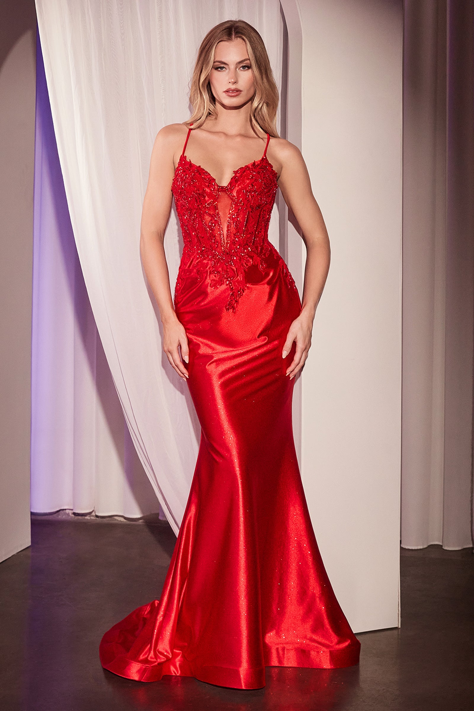 Applique Satin Sleeveless Slit Gown by Ladivine CC2401