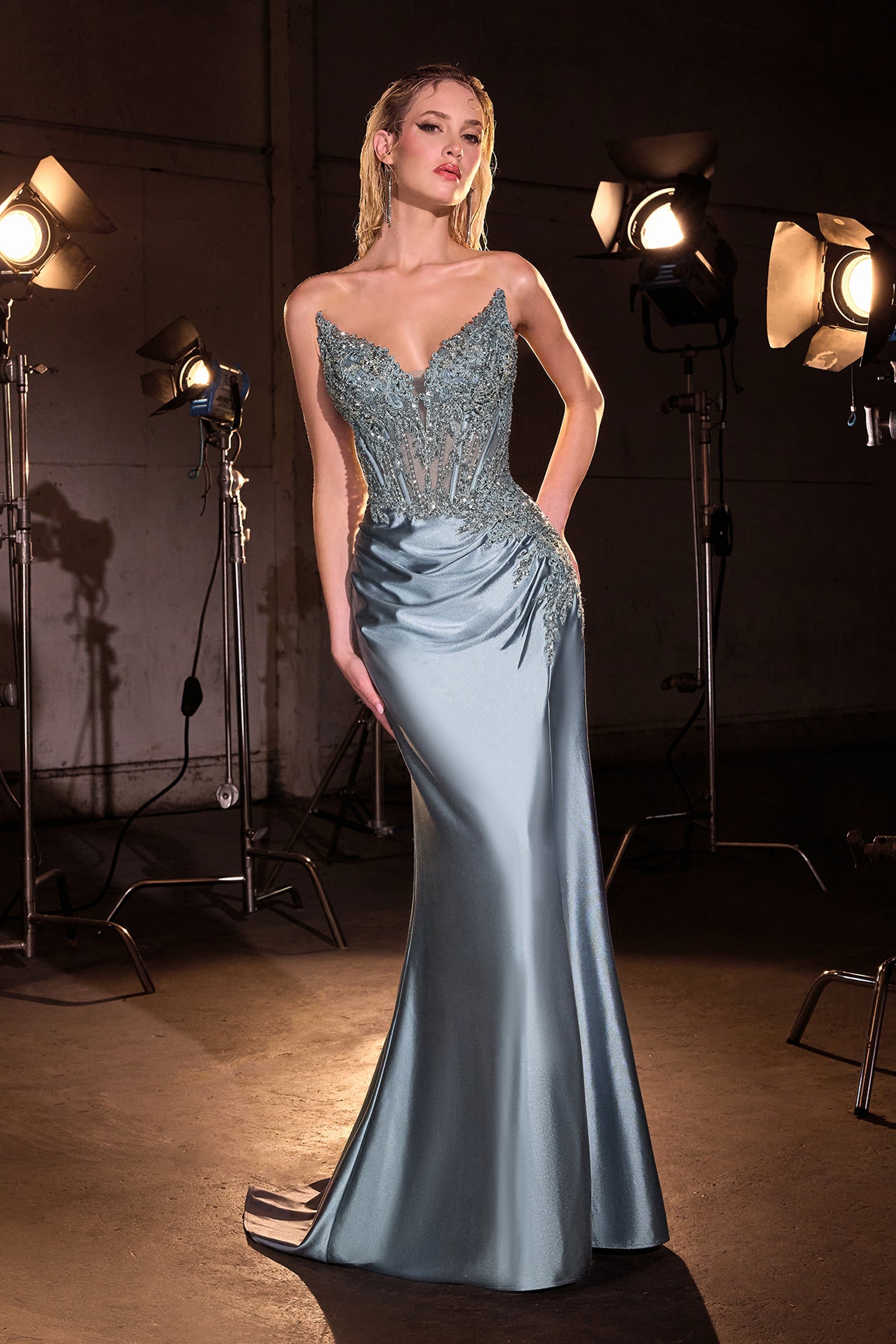 Applique Satin Fitted Strapless Gown by Ladivine CD714