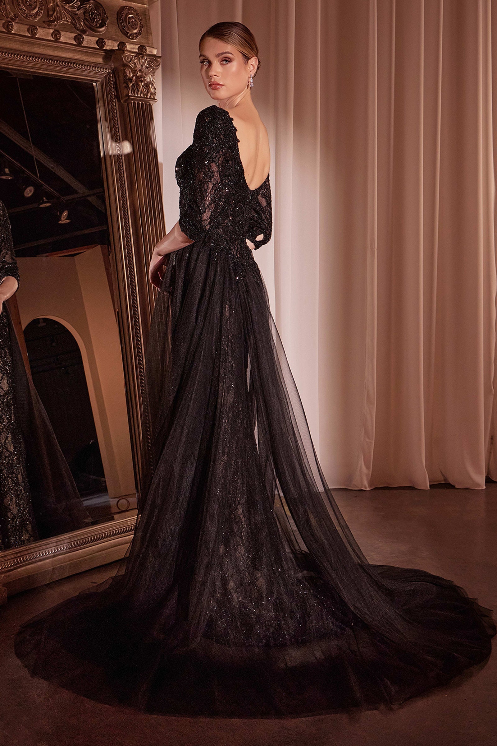 Applique Mid-Sleeve Overskirt Gown by Ladivine CD749 Cinderella Divine