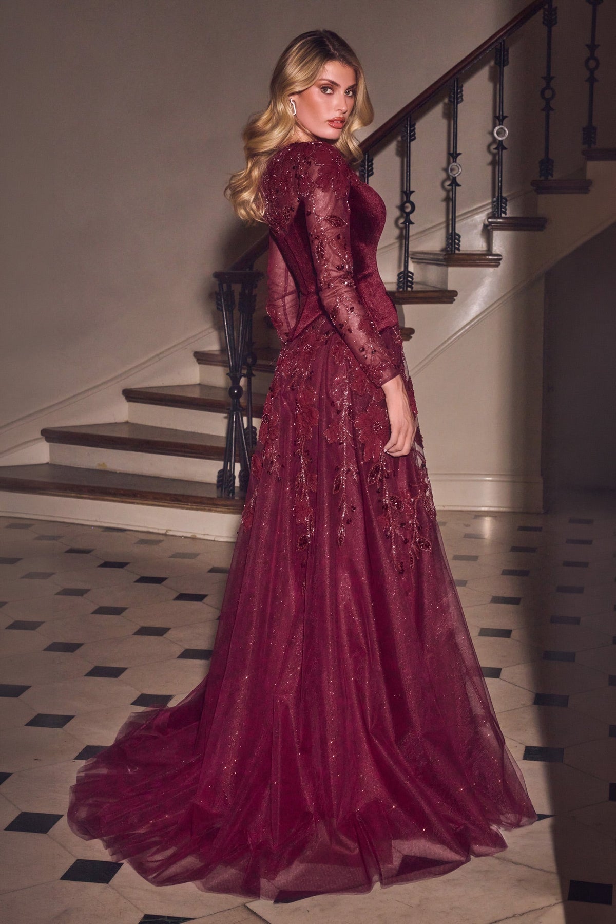 Velvet Tulle Long-Sleeve A-Line Gown | Ladivine CM394