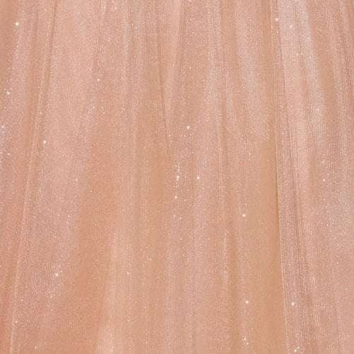 Beaded Halter A-Line Formal Gown | Ladivine CDS577