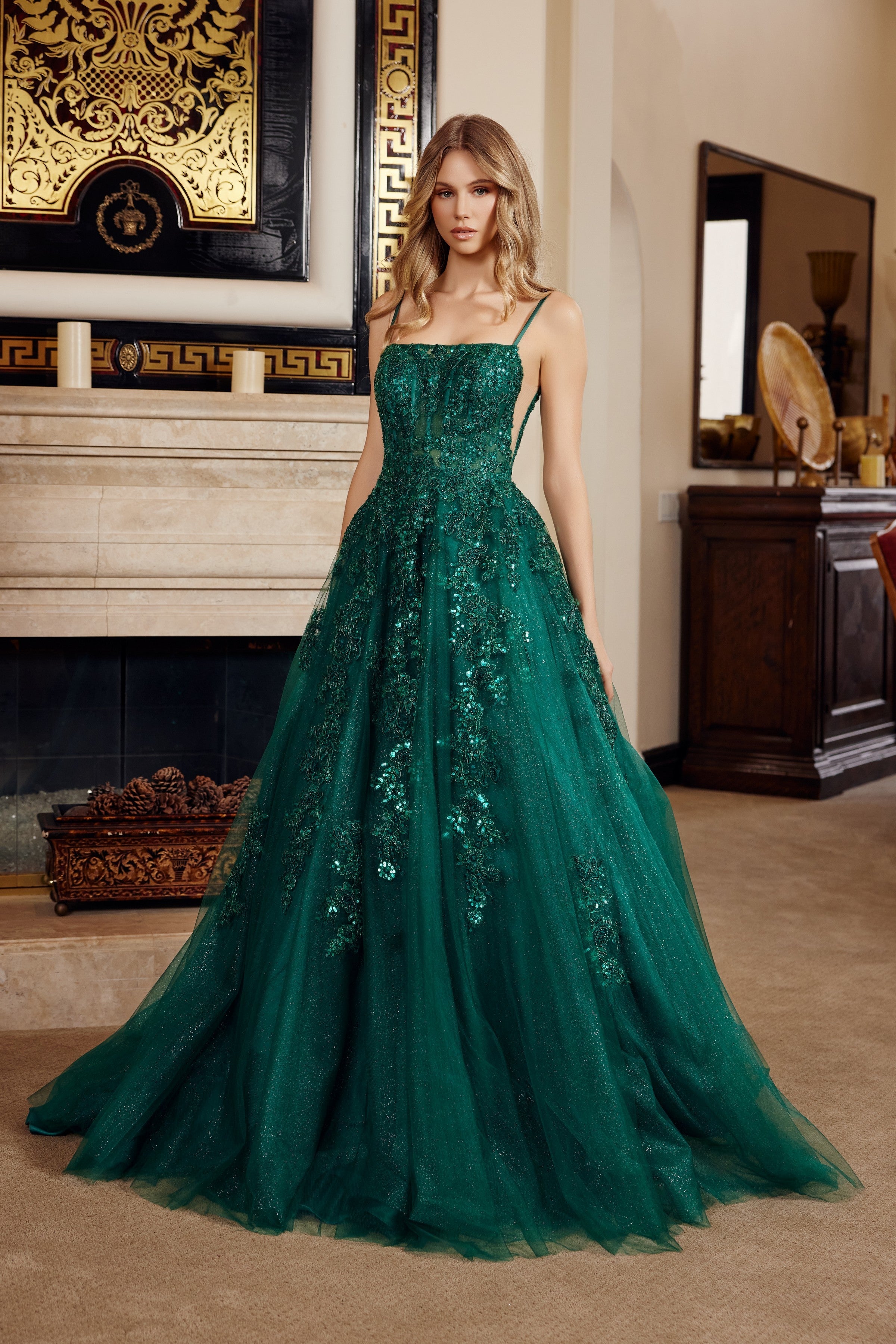 Applique Sleeveless Ball Gown by Nox Anabel H1880