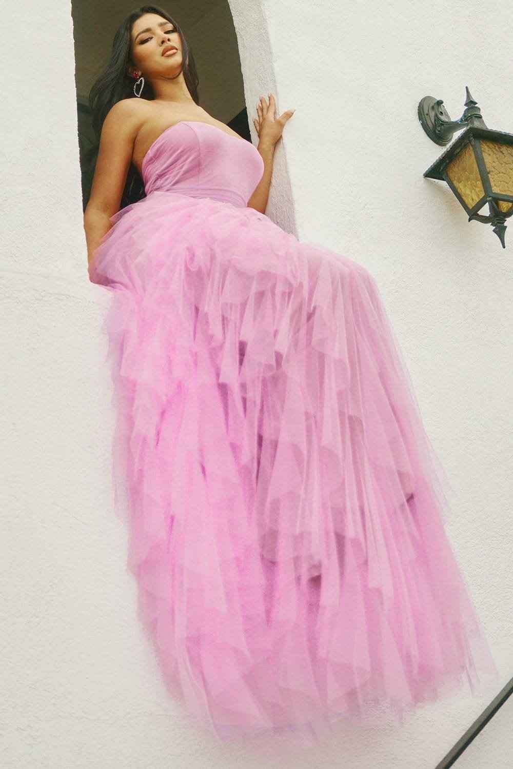Ruffled Tier Tulle Tube Top Maxi Dress