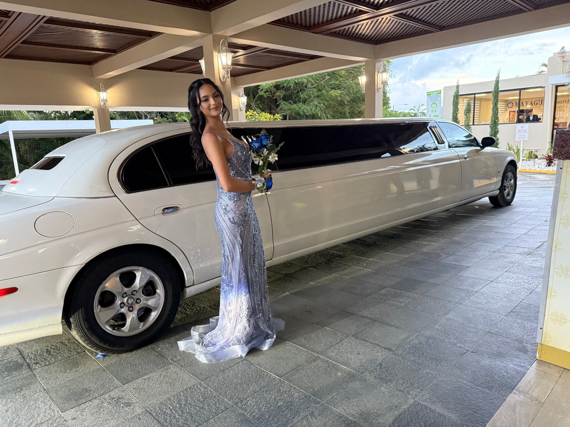 Beaded Fitted V-Neck Sheer Gown by Ladivine CC0389 Cinderella Divine