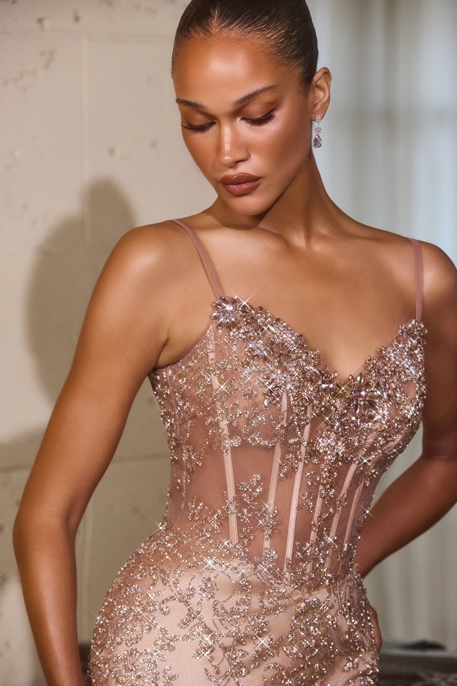 Sequin Applique Sleeveless Gown by Ladivine J889