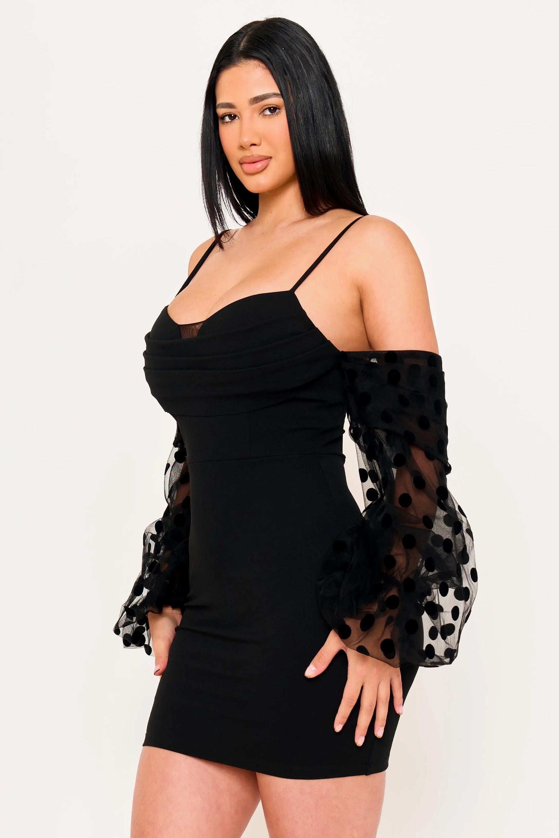 Polkadot Mini Dress - Mesh Balloon Sleeve Long Sleeve Party Dress BOUTINIE