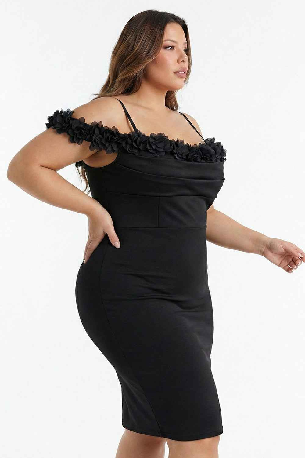 Off The Shoulder Floral Appliques Plus Size Mini Dress