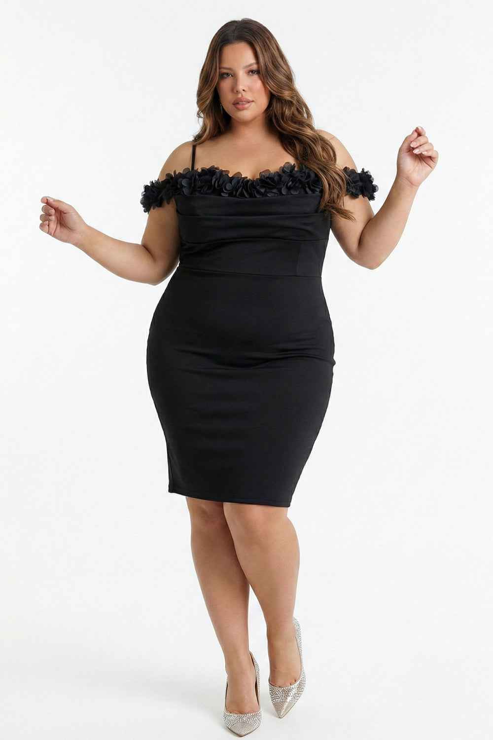 Off The Shoulder Floral Appliques Plus Size Mini Dress