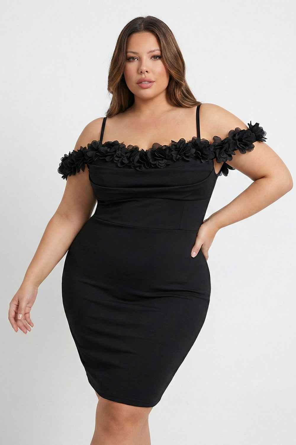 Off The Shoulder Floral Appliques Plus Size Mini Dress