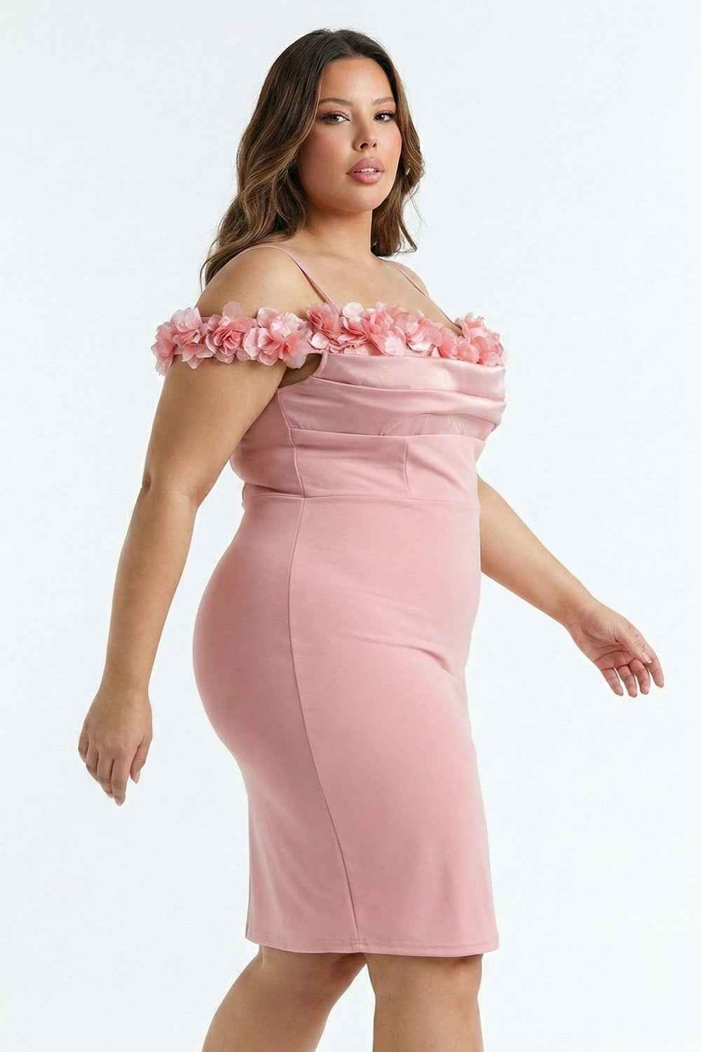 Off The Shoulder Floral Appliques Plus Size Mini Dress