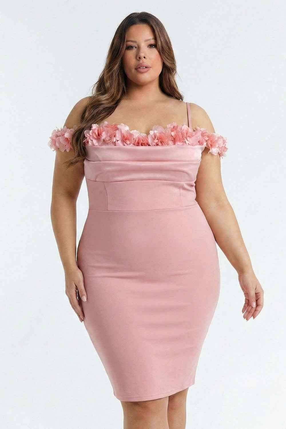 Off The Shoulder Floral Appliques Plus Size Mini Dress
