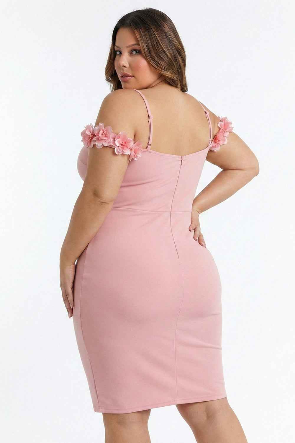 Off The Shoulder Floral Appliques Plus Size Mini Dress