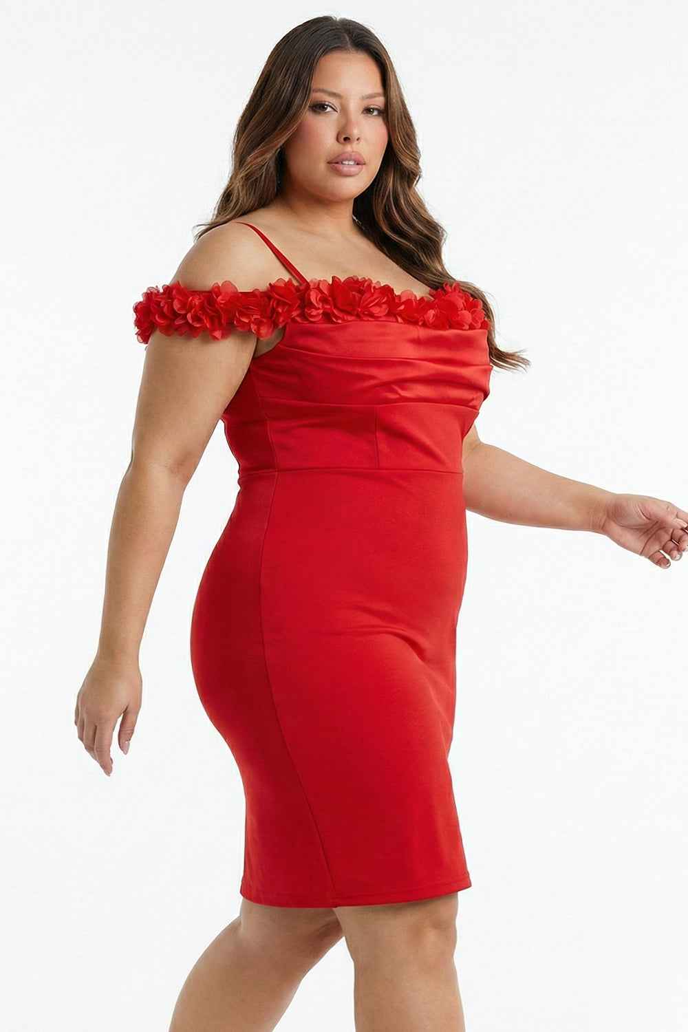 Off The Shoulder Floral Appliques Plus Size Mini Dress