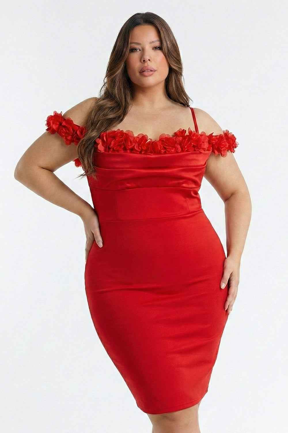 Off The Shoulder Floral Appliques Plus Size Mini Dress