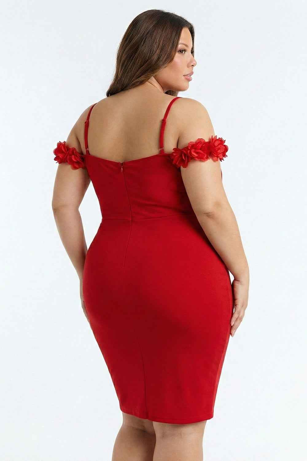Off The Shoulder Floral Appliques Plus Size Mini Dress