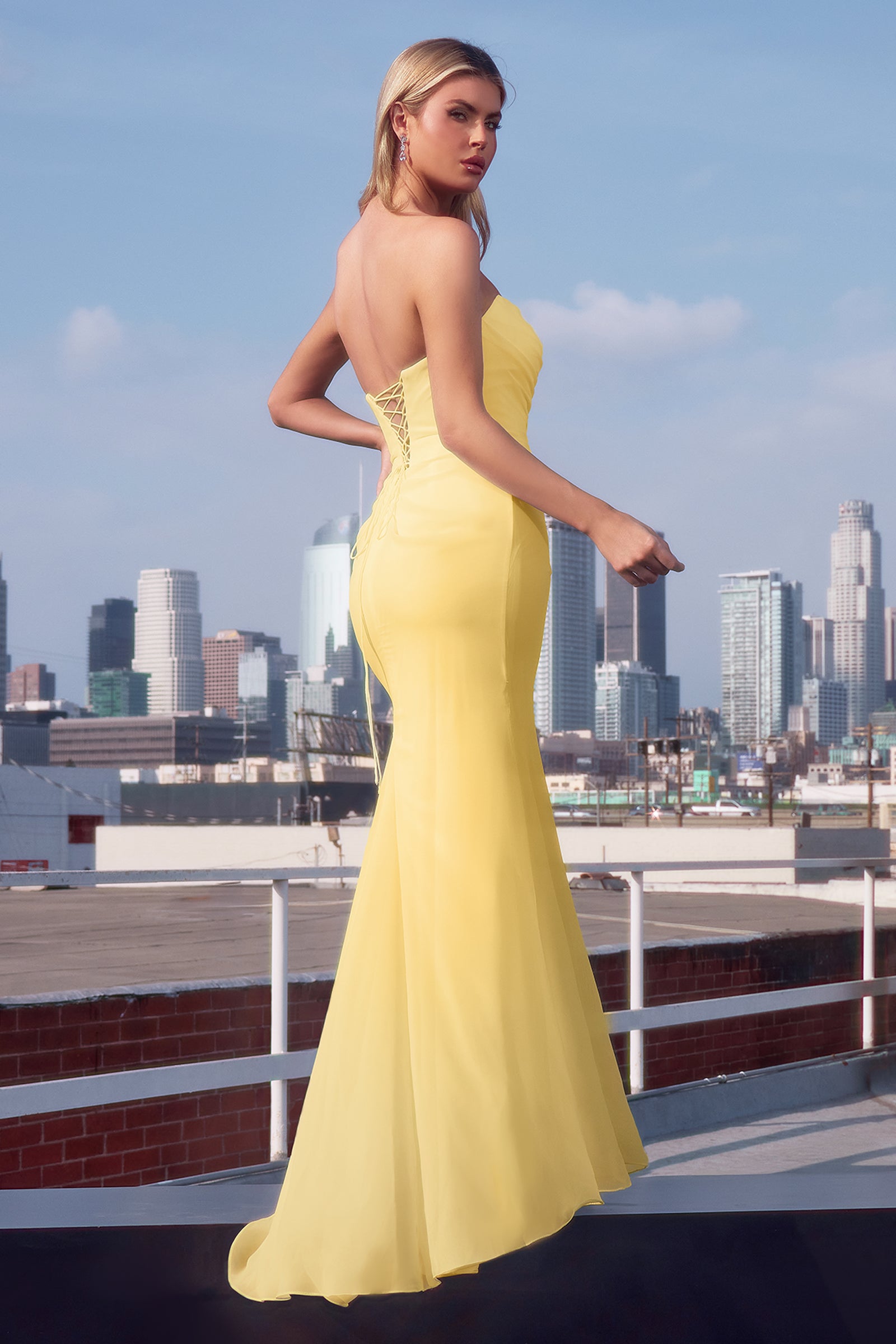 Chiffon Fitted Long Strapless Dress by Ladivine T702 Cinderella Divine