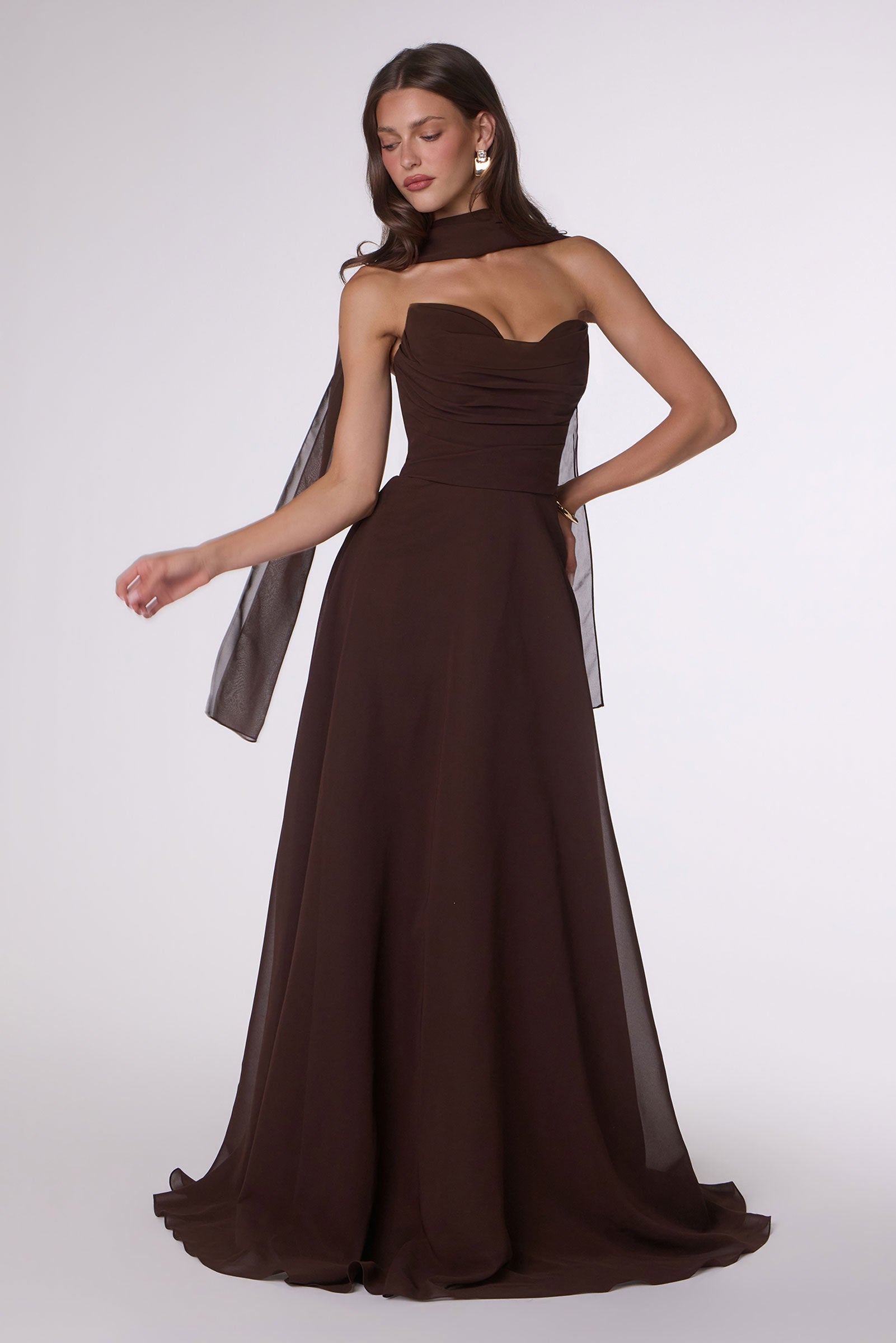 Chiffon Strapless A-line Gown by Ladivine T703