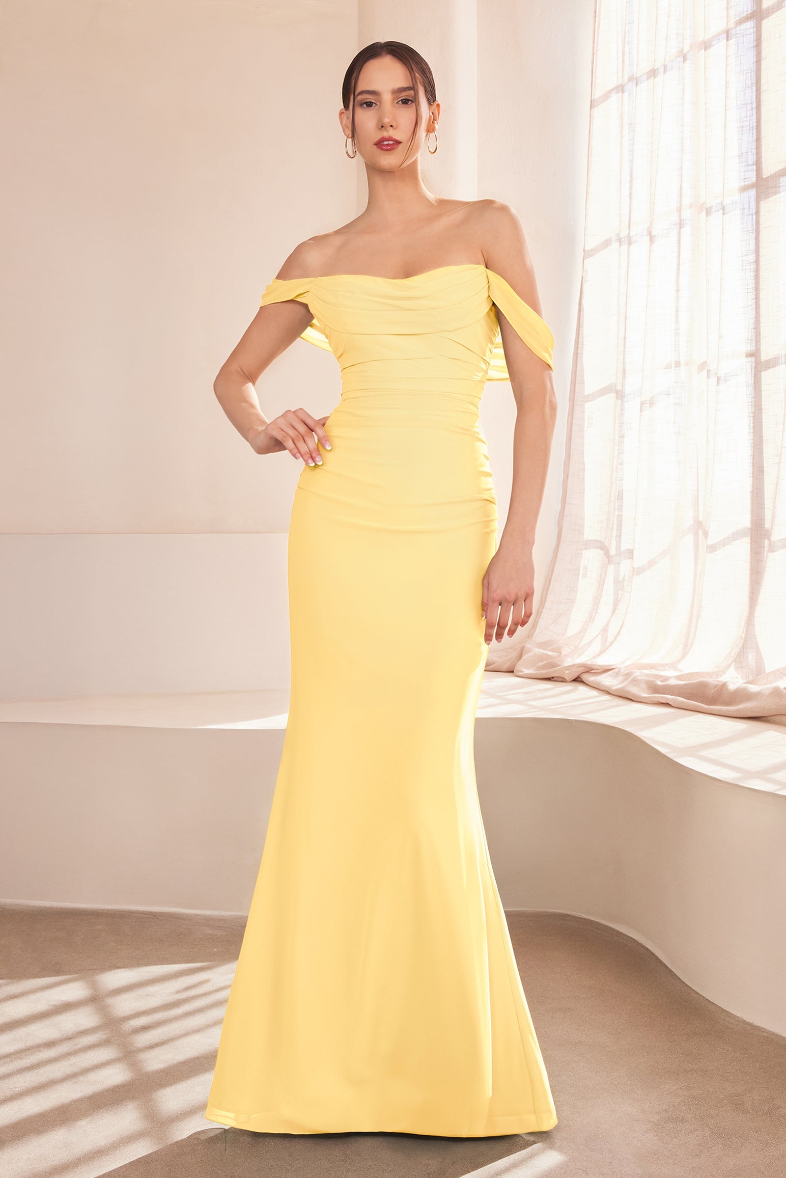 Chiffon Fitted Off Shoulder Gown by Ladivine T705 Cinderella Divine