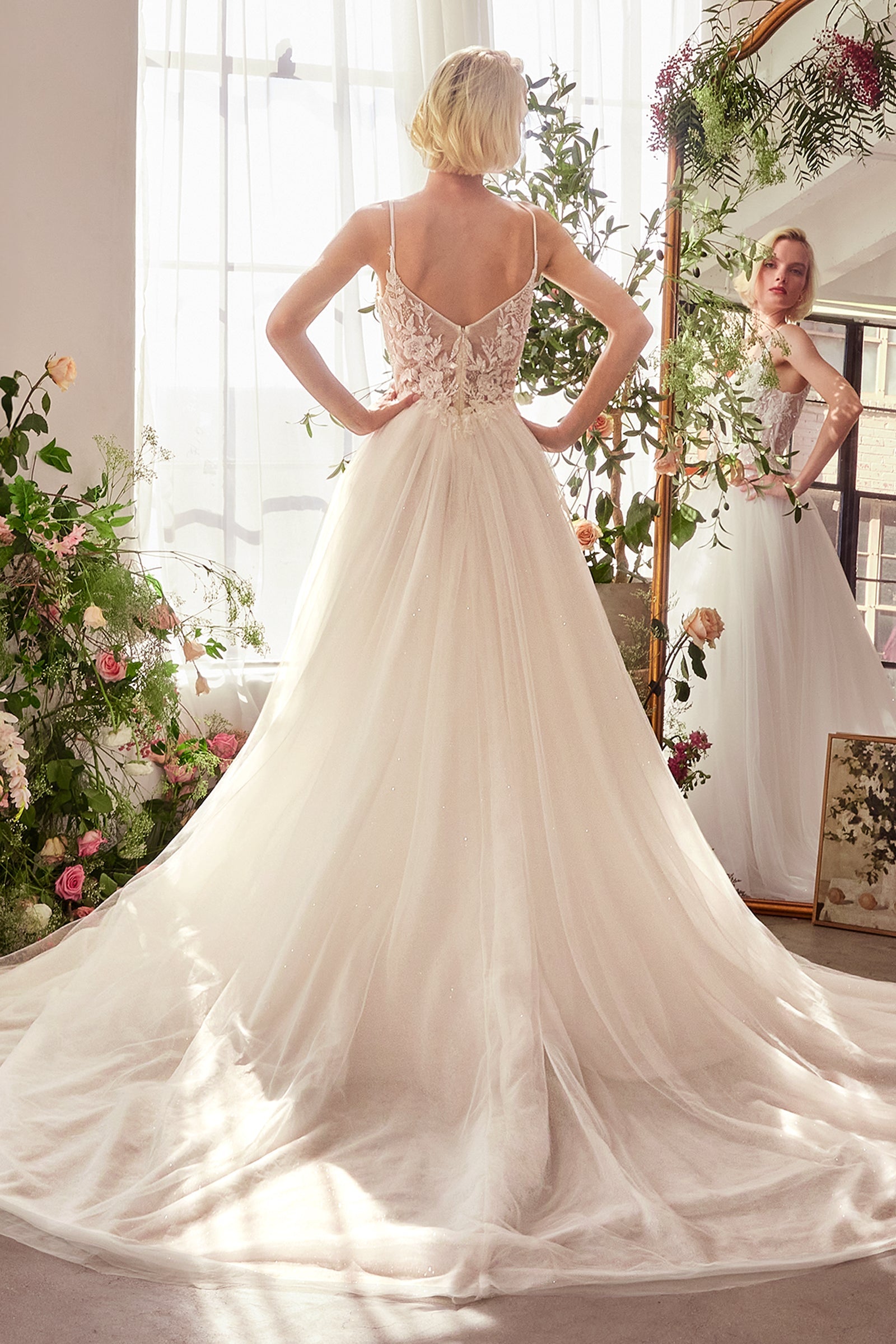 Applique Sleeveless A-line Bridal Gown by Ladivine WL029