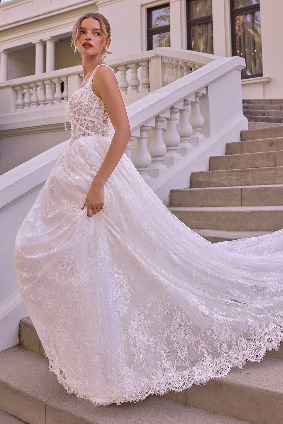 Lace Sleeveless Bridal Formal Gown | Ladivine WL073