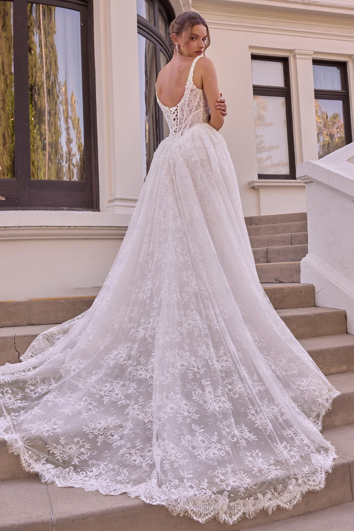 Lace Sleeveless Bridal Formal Gown | Ladivine WL073