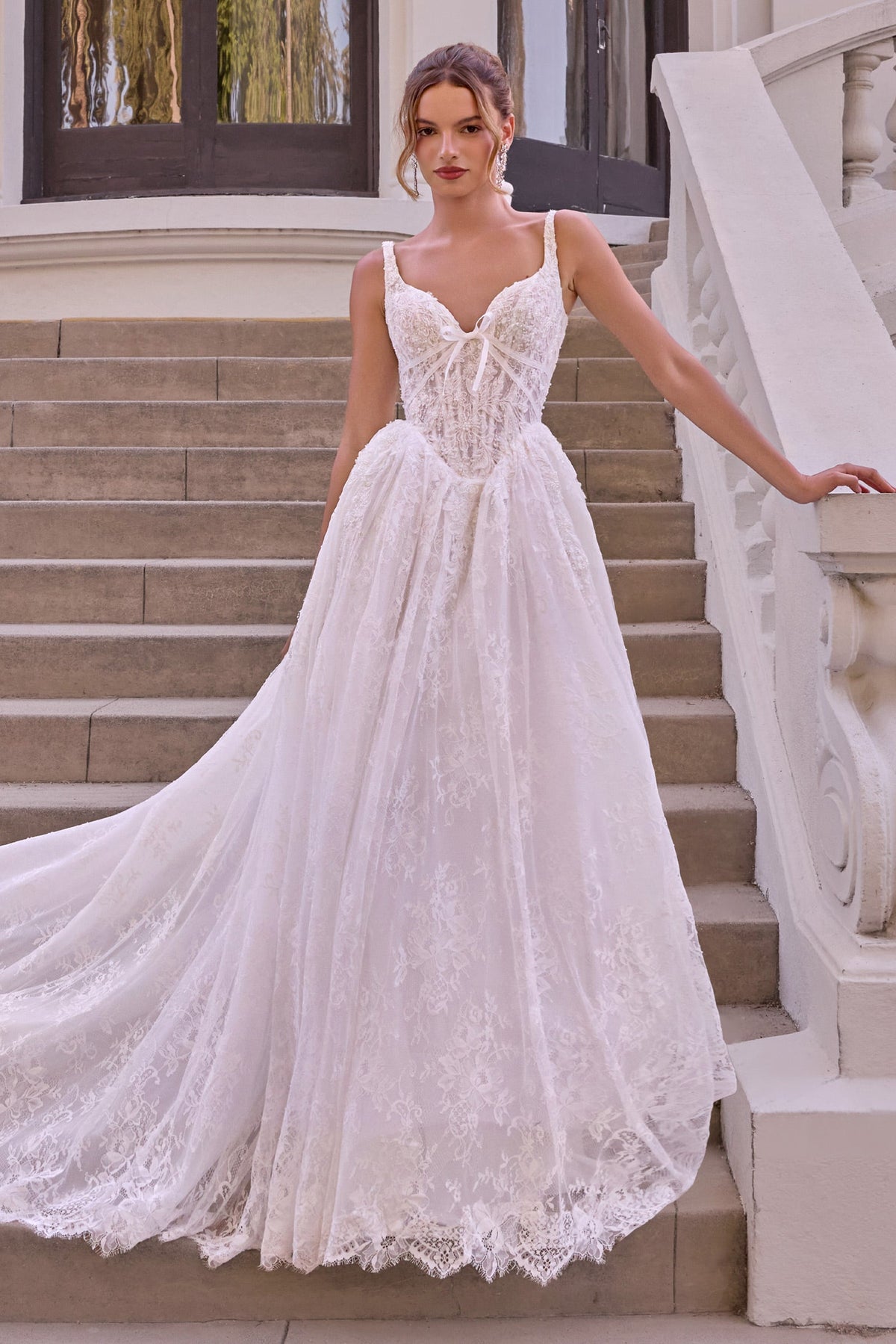 Lace Sleeveless Bridal Formal Gown | Ladivine WL073