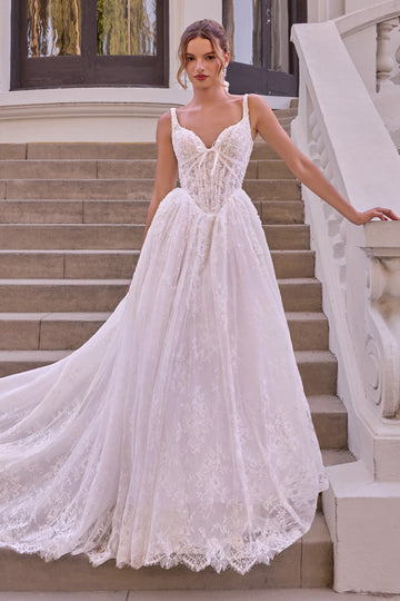 Lace Sleeveless Bridal Formal Gown | Ladivine WL073
