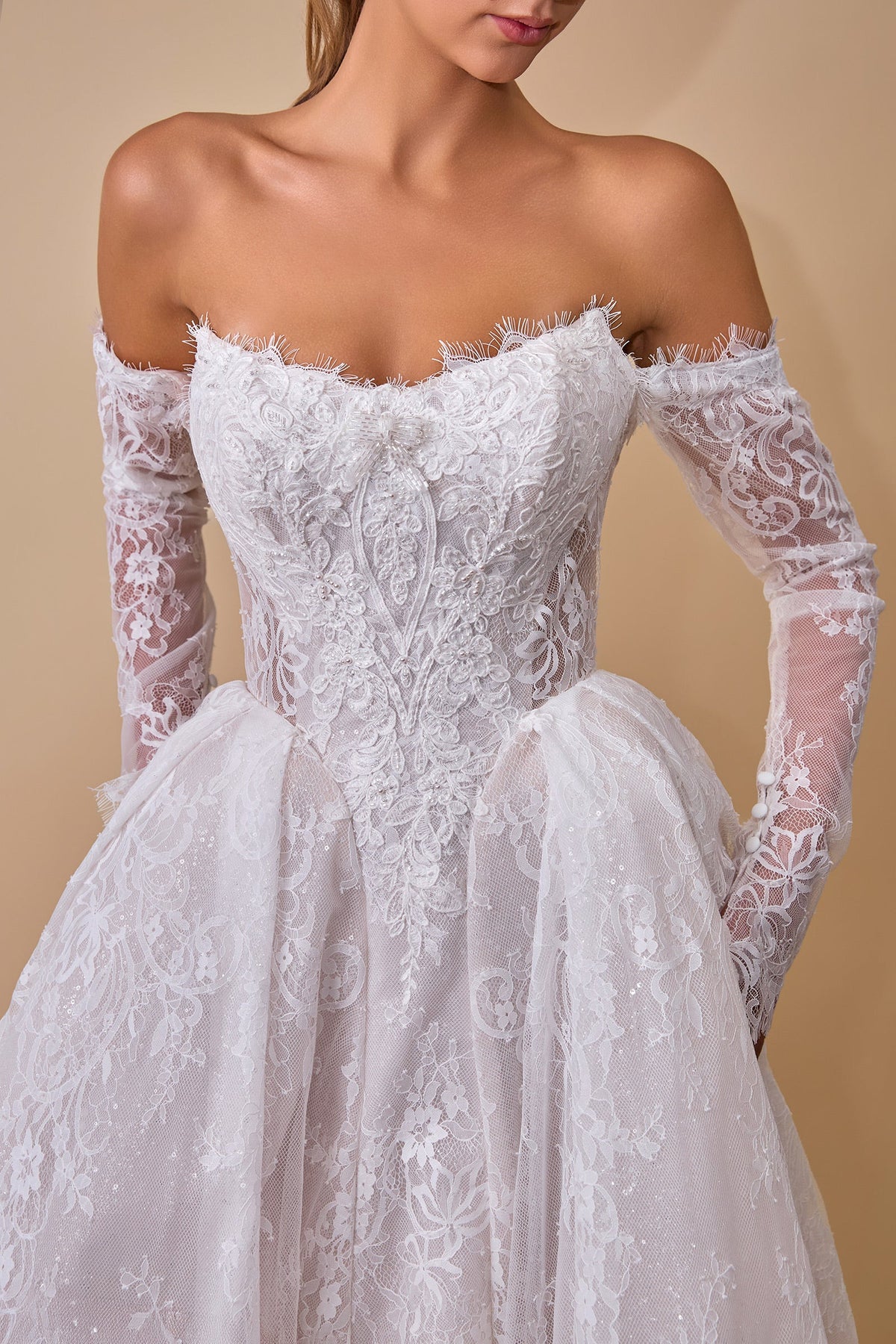 Lace Long-Sleeve Bridal Formal Gown | Ladivine WL079
