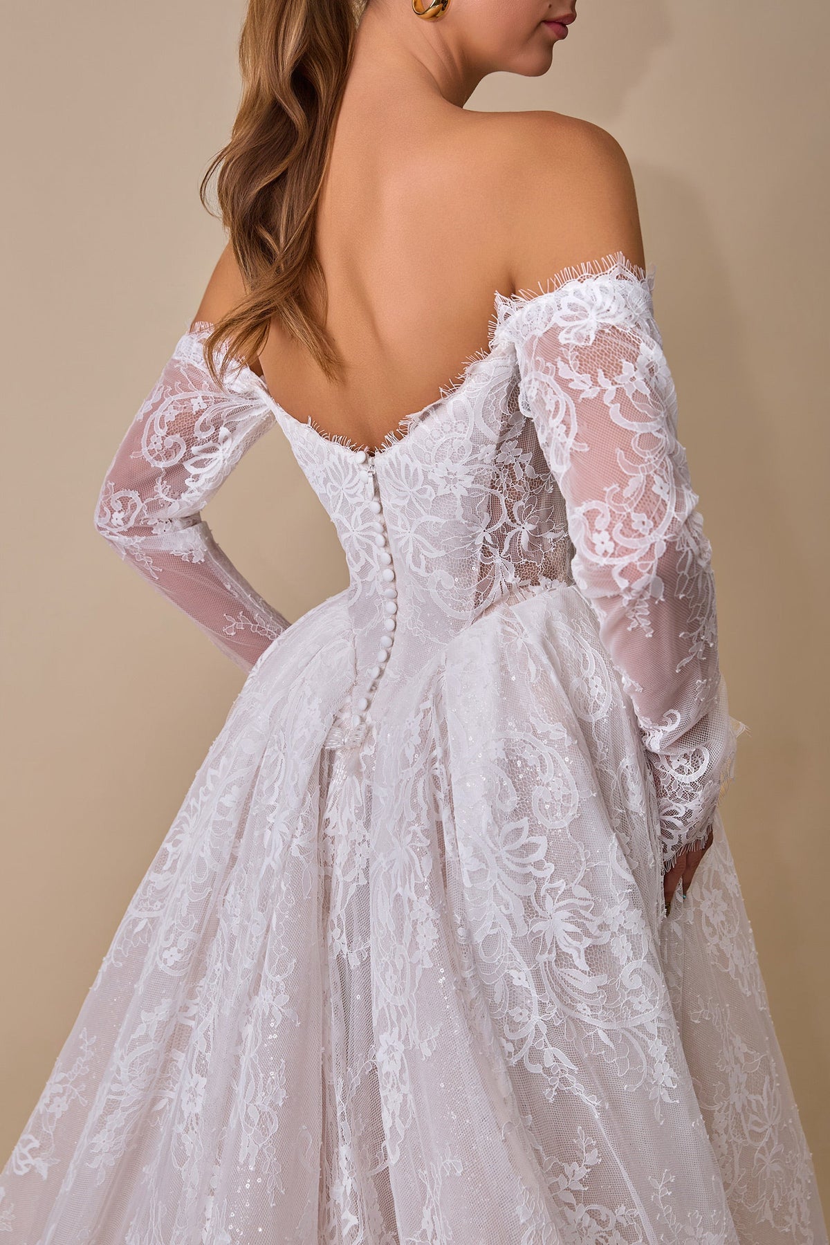 Lace Long-Sleeve Bridal Formal Gown | Ladivine WL079