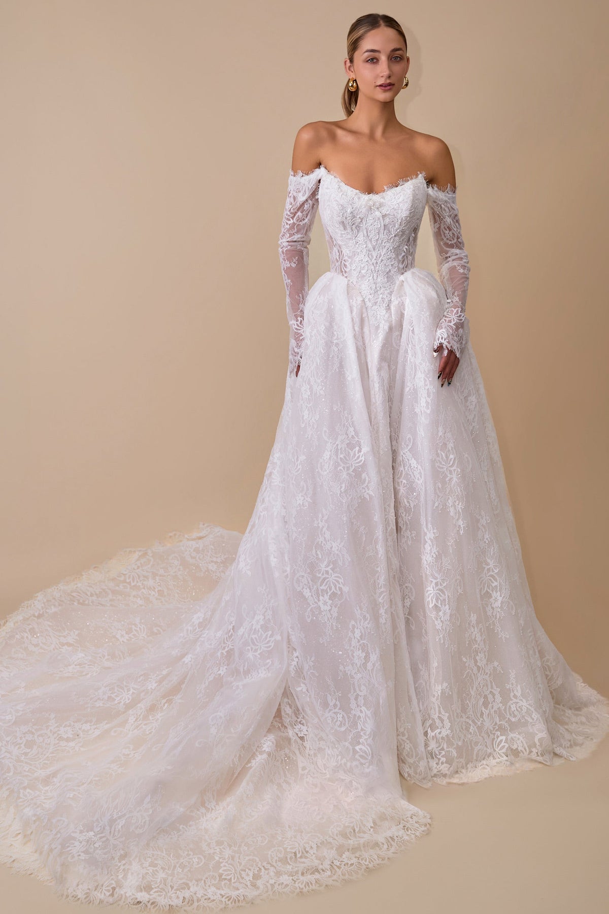 Lace Long-Sleeve Bridal Formal Gown | Ladivine WL079