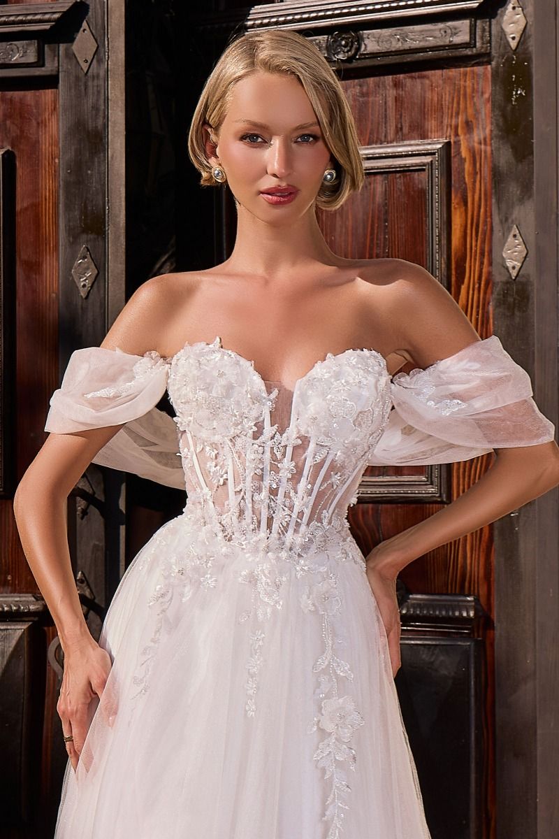 White Applique Off-the-Shoulder A-Line Gown | Ladivine CD2426W