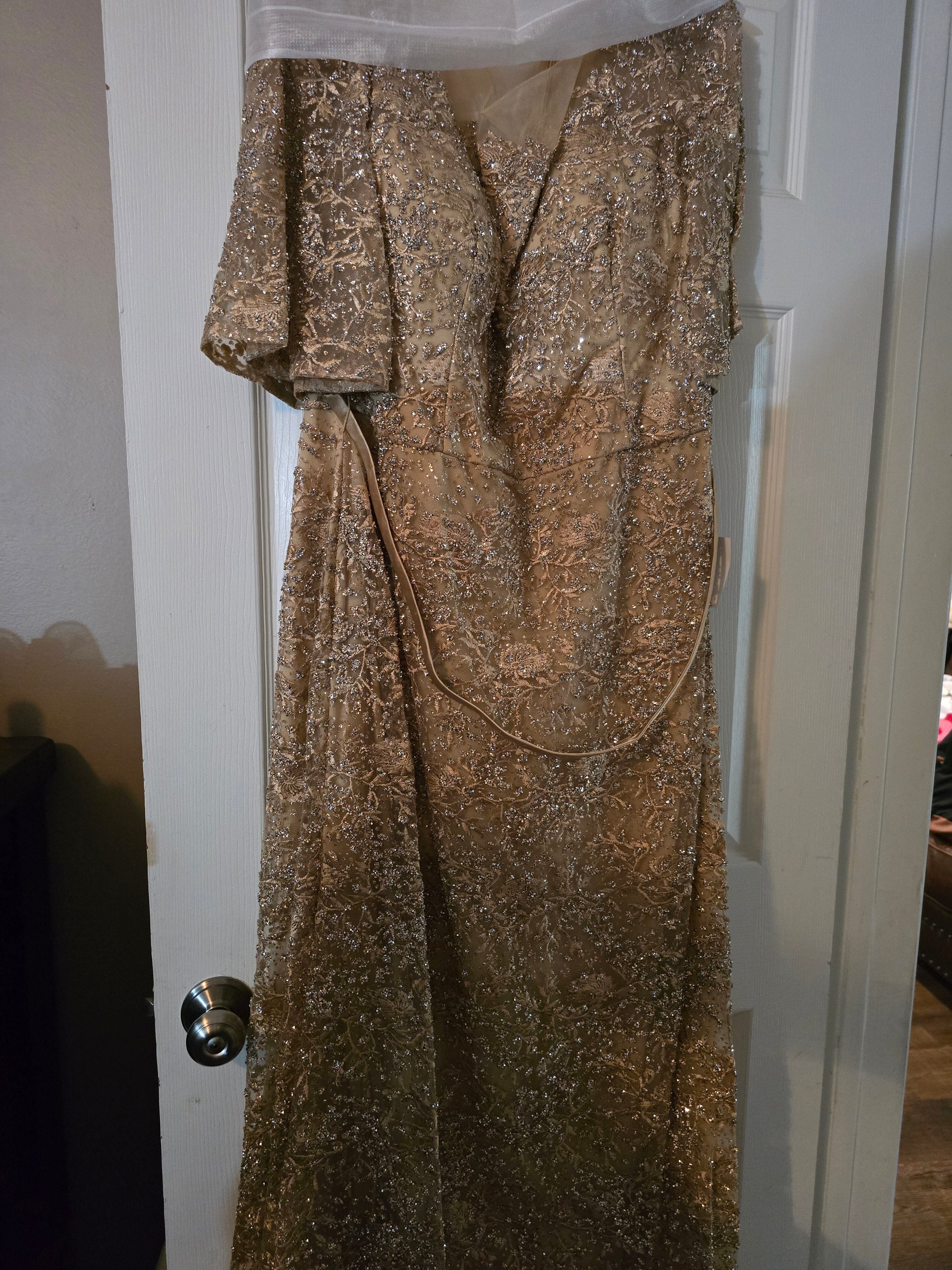 Lace Fitted Mid-Sleeve Gown by Ladivine CB149