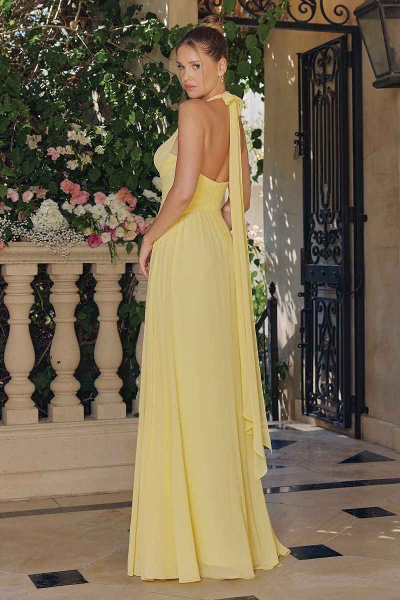Chiffon Halter V-Neck A-line Gown by Amoris T715